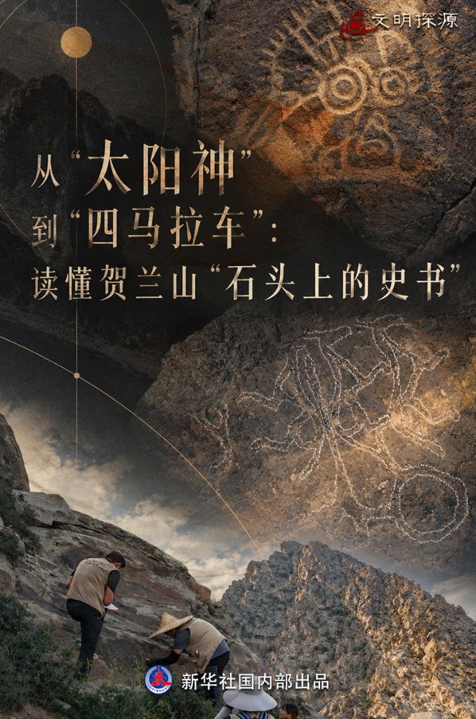 获取专业洞察，解决您的疑问 - 旺财28